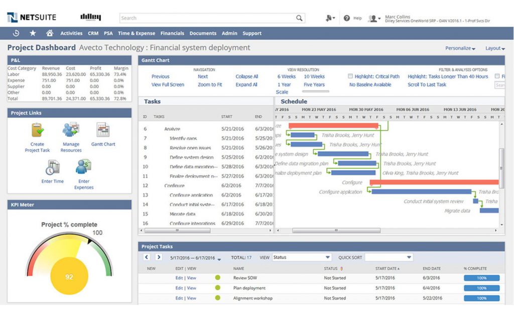 Netsuite Professional Services automation screenshot