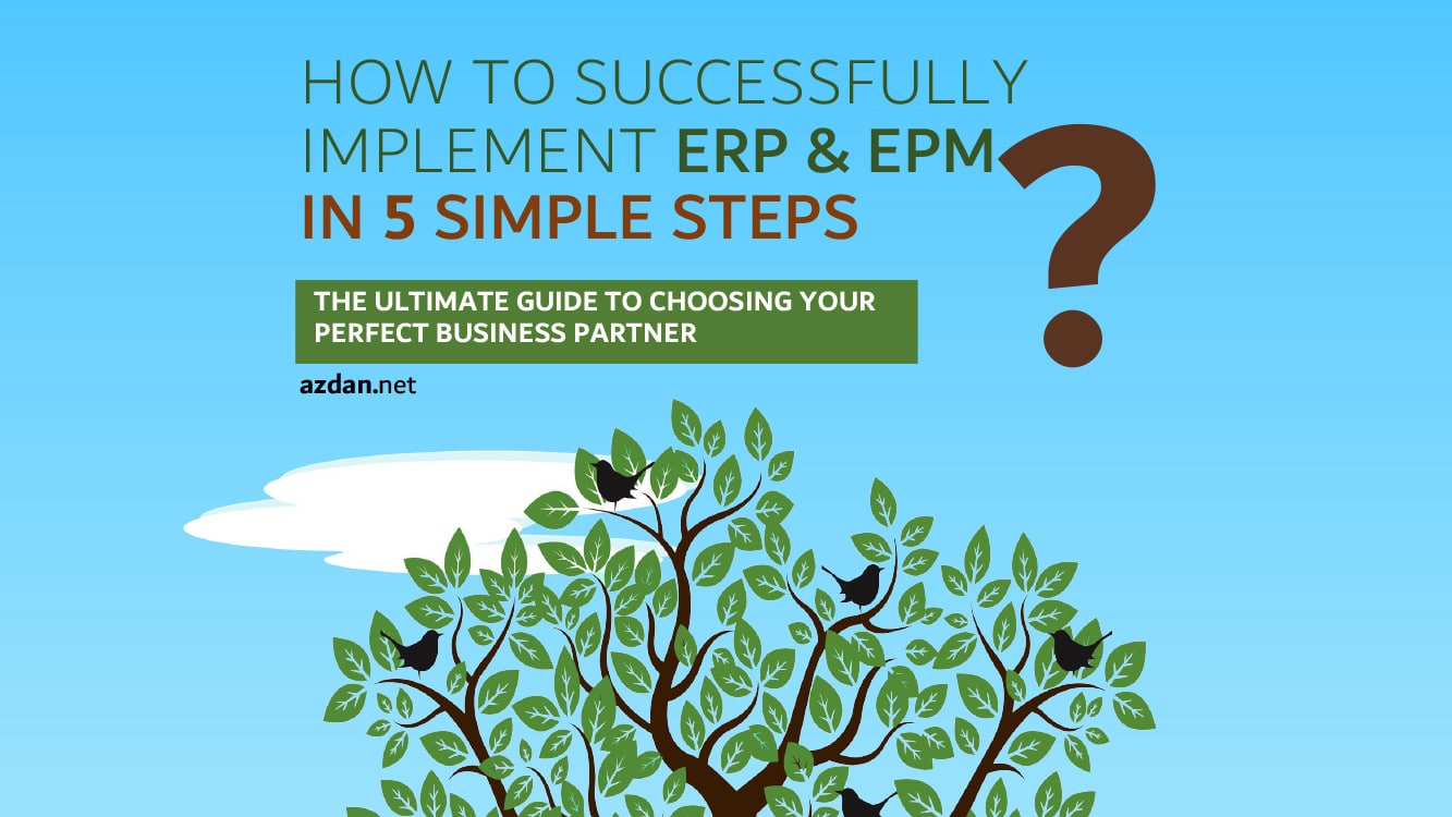 implement ERP