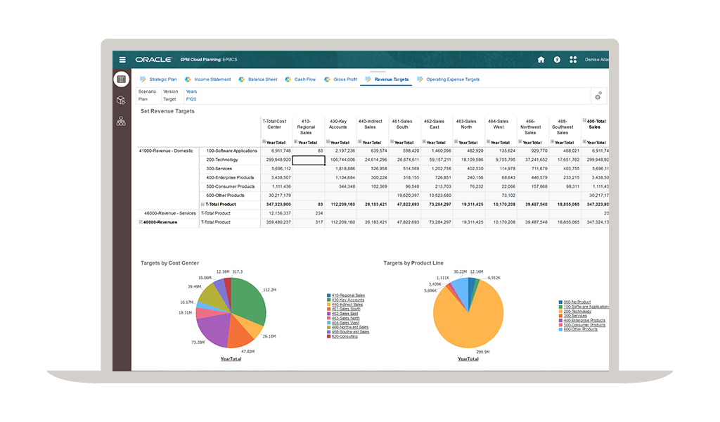 NetSuite Financial Planning