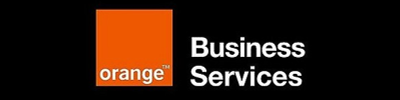 orange business salesforce partners in egypt