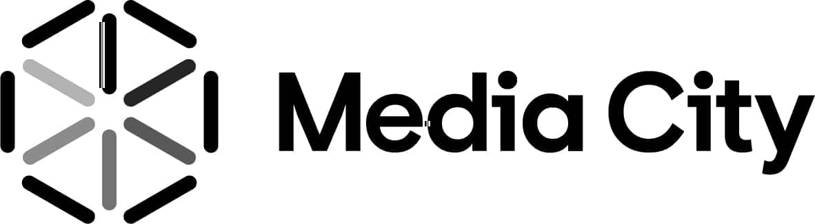 media city netsuite companies in the middle east