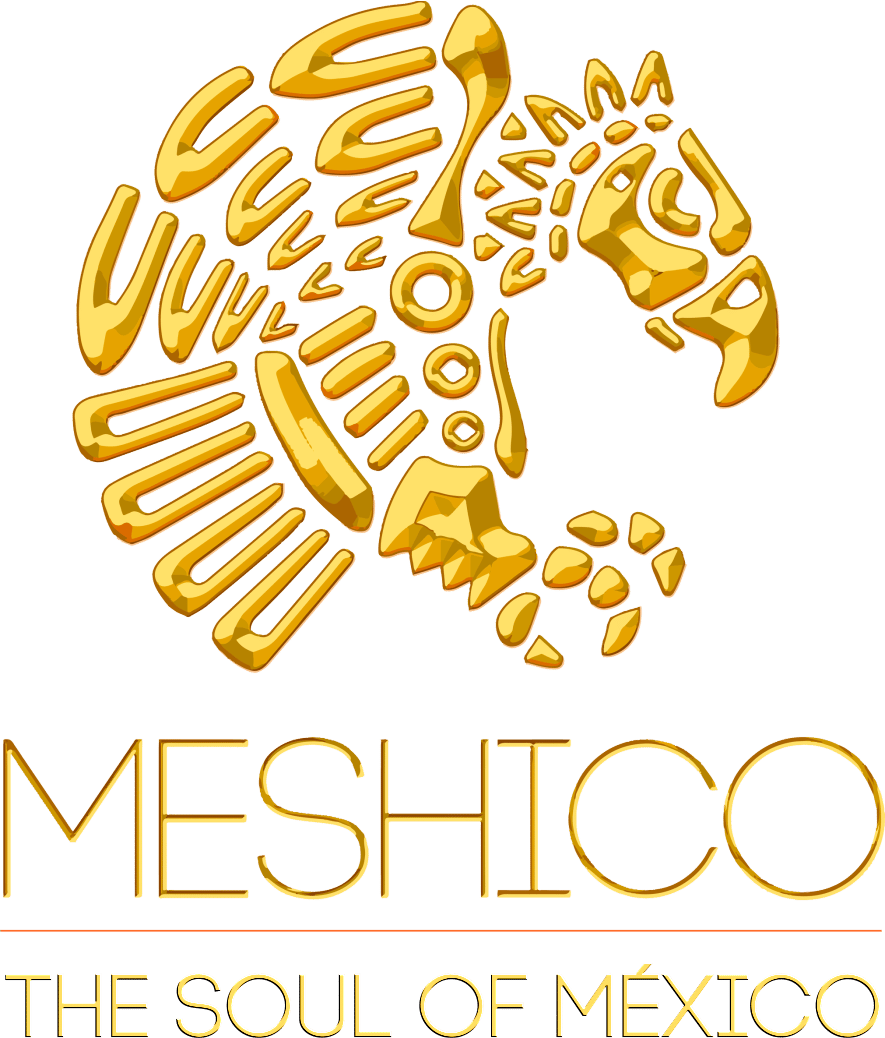 meshico netsuite companies in the middle east