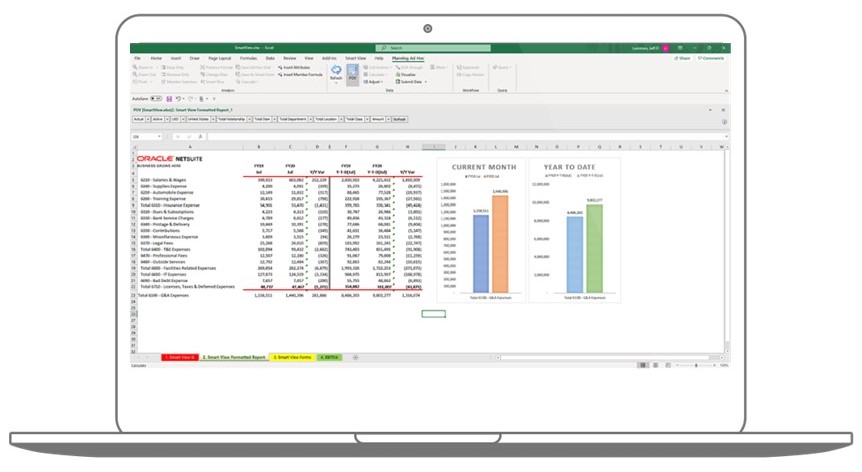 NetSuite ERP 6