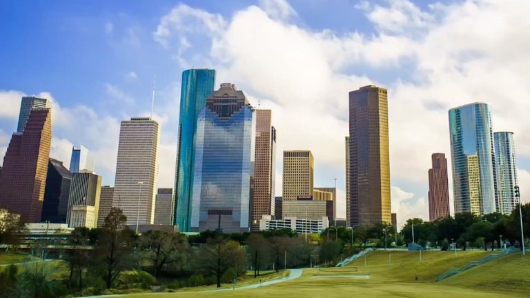 Best 20 Leading NetSuite Partners in Texas 1