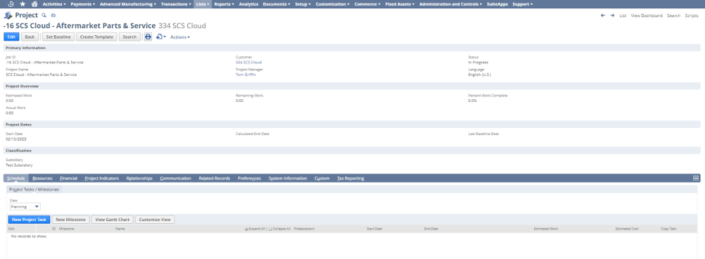 NetSuite Pricing - Professional Services Modules System Screenshot