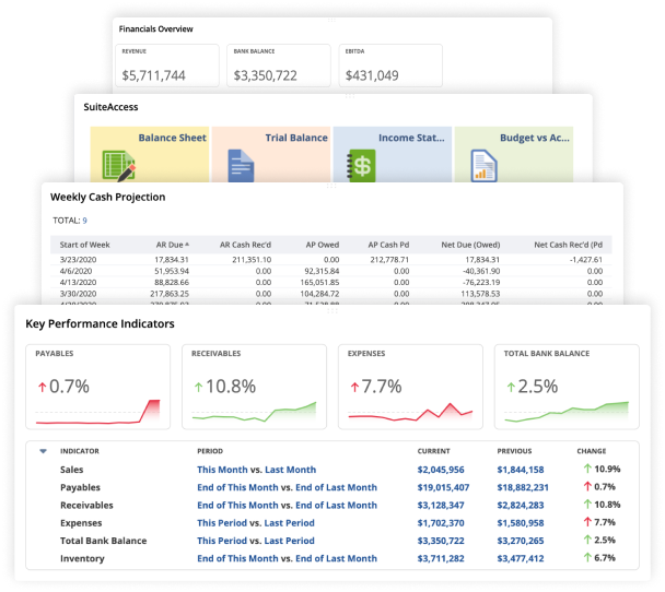 Free NetSuite Support Healthcheck 6